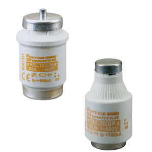 01 1621 ms b216109e.jpg