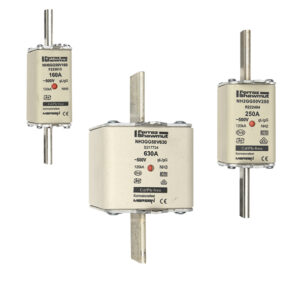 01 1621 ms c229611c.jpg