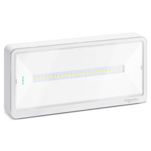VÉSZVILÁGÍTÓ EX. LIGHT 3h 110lm IP42