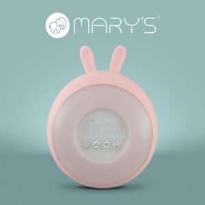 ÉJSZAKAI FÉNY ASZTALI USB 1,0W RÓZSA