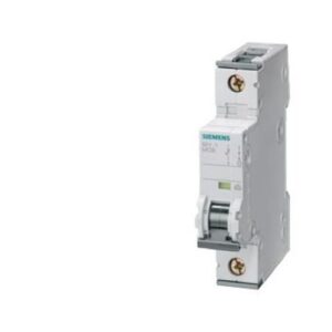 Kismegszakító 1P D 50A 10kA SIEMENS 5SY4150-8