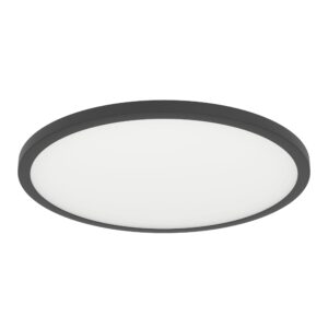 SARSINA-Z LEDZIGCCT menny.O450 fk/f