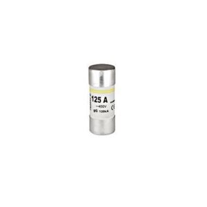 SCHRACK BIZT.BET. 22x58 125A 500VAC GG