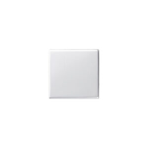GIRA bill.egyesfehérsT55 0296-03