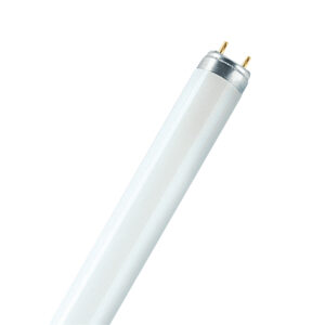 Fénycső spec. 36W T8 húspult 1200mm