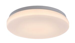 LOWAR kültéri mennyezeti LED 12W D24 kerek