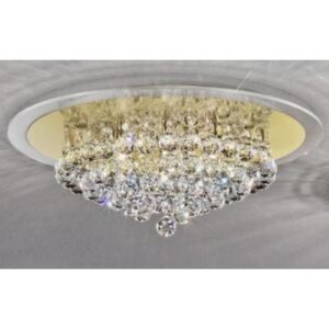 MOLECZ DLU 2378/6/50 gold@