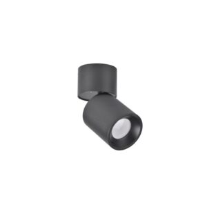 SPOT NIXA 1XGU10 230V IP20@